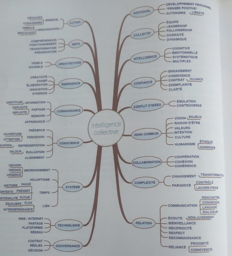 carte sémantique de l'intelligence collective