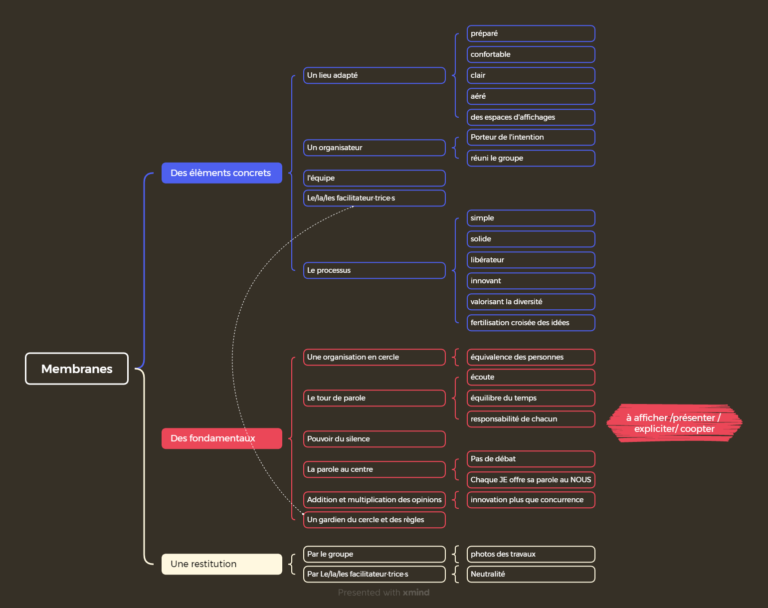 Membranes en intelligence collective; le cadre en facilitation